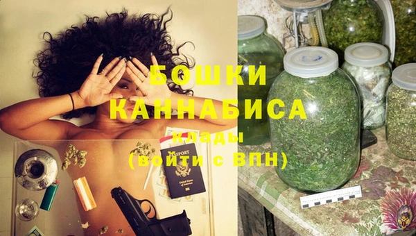 СК Новозыбков