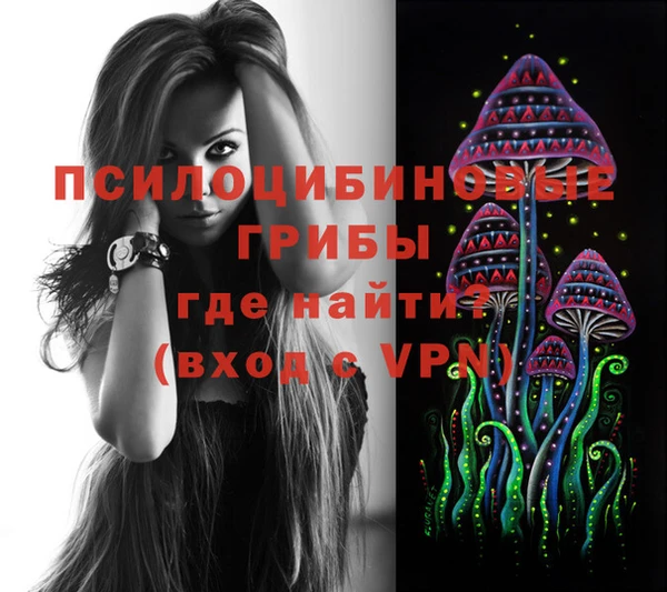 гашиш Новодвинск