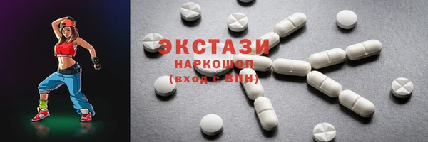 СК Новозыбков