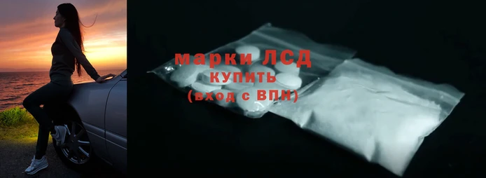 СК Новозыбков