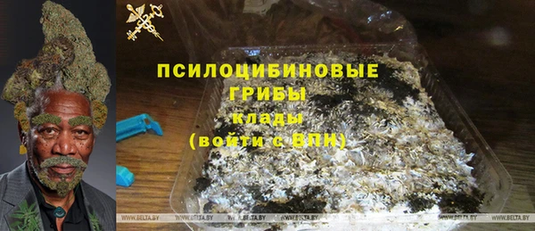 СК Новозыбков