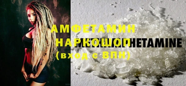 СК Новозыбков