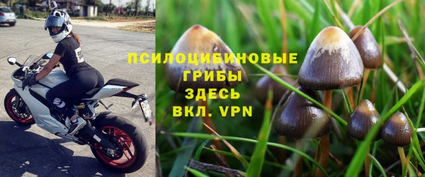 герыч Новокубанск