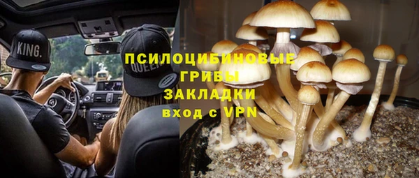 герыч Новокубанск