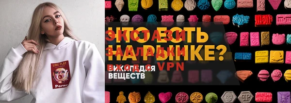 СК Новозыбков