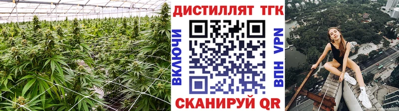 даркнет сайт  Медынь  ТГК вейп 
