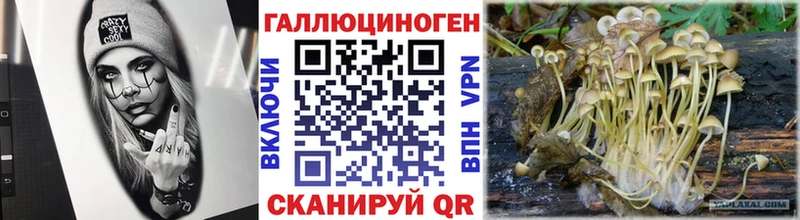 MEGA как войти Медынь Галлюциногенные грибы прущие грибы закладки