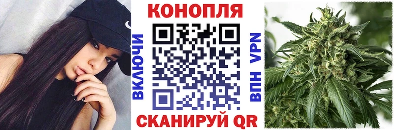 что такое   Медынь  Каннабис индика 